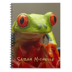 Green Frog Red Eyes Photo Personalised Notebook