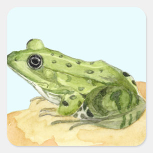 Green Frog Square Sticker