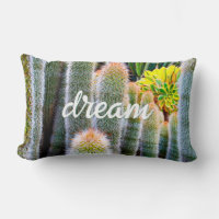 Green Fuzzy Cacti Photo Dream Quote Script Bold