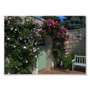 Green Garden Gate Door With Bench Photo Print