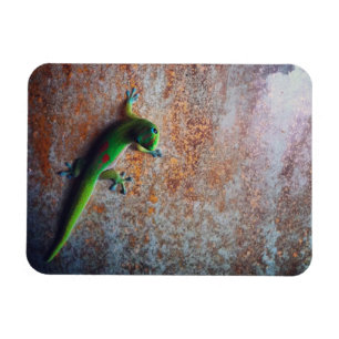 Green Gecko Flexi Magnet