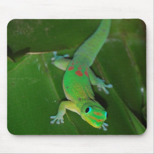 Green Gecko in Hawaii Mouse Pad