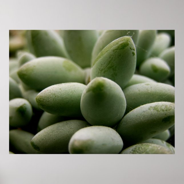 Green Gems Poster (Front)