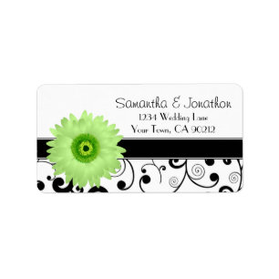 Green Gerbera Daisy Black Scroll Address Label