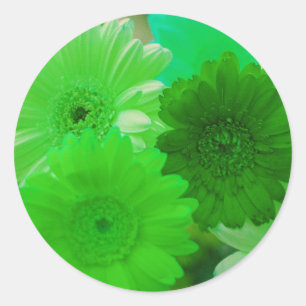 Green Gerbera Daisy Flowers Art Decal Stickers