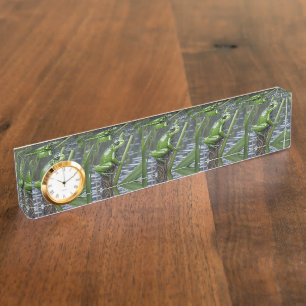 Green Glass Frog On Reeds At The River, Nameplate