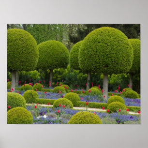 Green Globe Shape Trees Poster