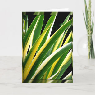 green & gold leaves on black card