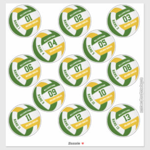 green gold volleyball team colours players names