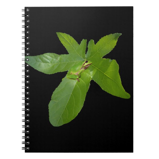 Green Grape Leaf Frog, Notebook (Front)