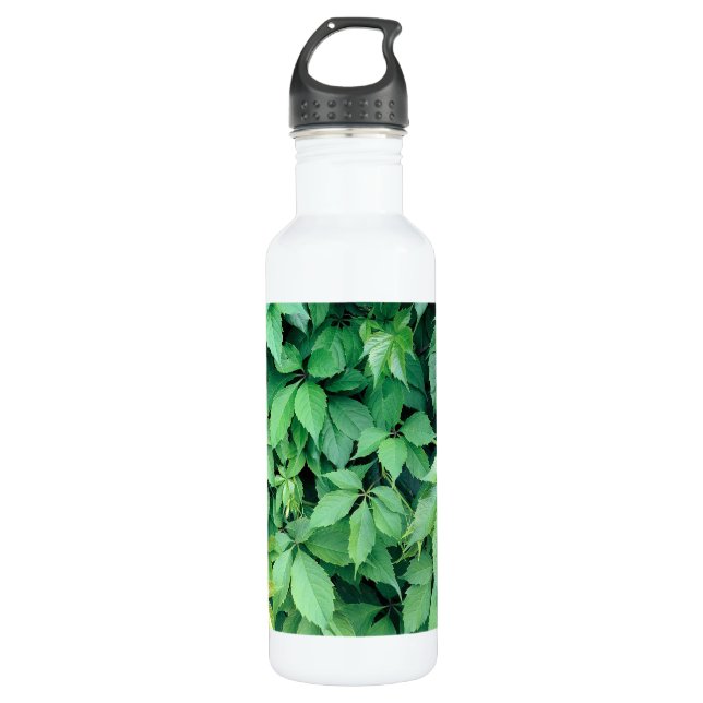 Green Grape Leaves 710 Ml Water Bottle (Front)