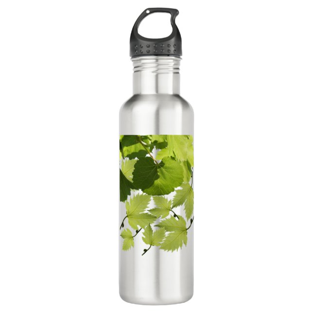 Green Grape Vine Leaves 710 Ml Water Bottle (Front)