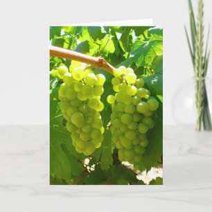 Green Grapes on the Vine Card
