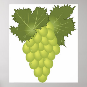 Green Grapes Poster