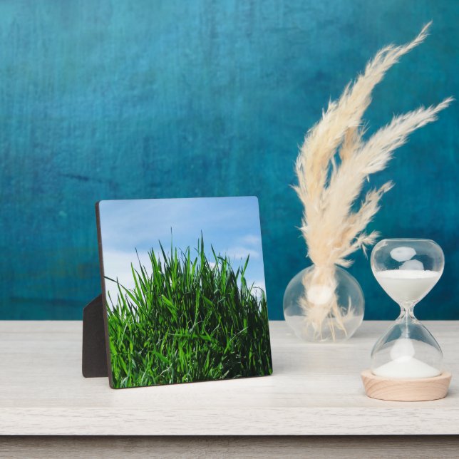 Green grass against the background of the endless  plaque (Insitu)