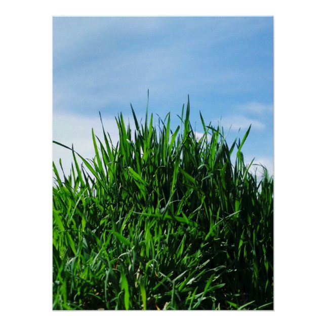 Green grass against the background of the endless  poster (Front)