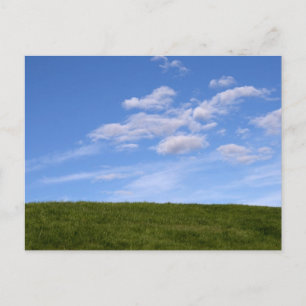 Green Grass and Blue Sky Postcard