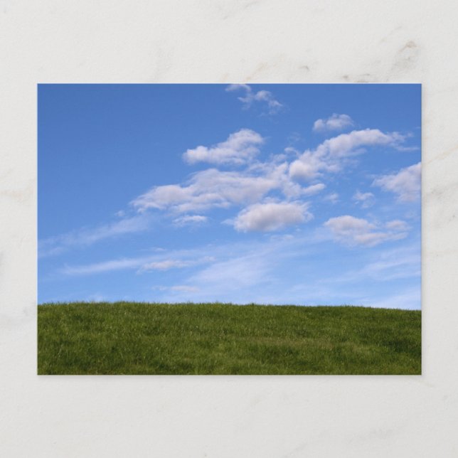 Green Grass and Blue Sky Postcard (Front)