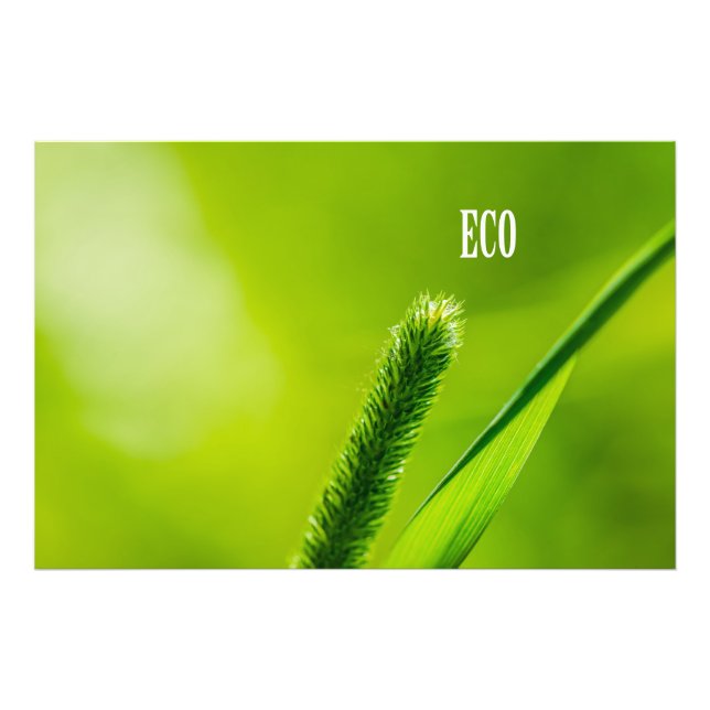 Green Grass And Sun - Eco Photo Print (Front)