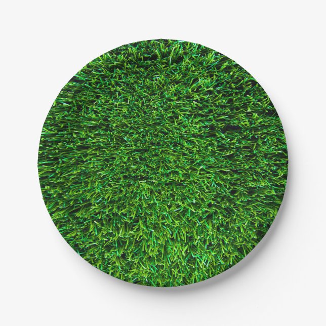 Green Grass Background Paper Plate (Front)