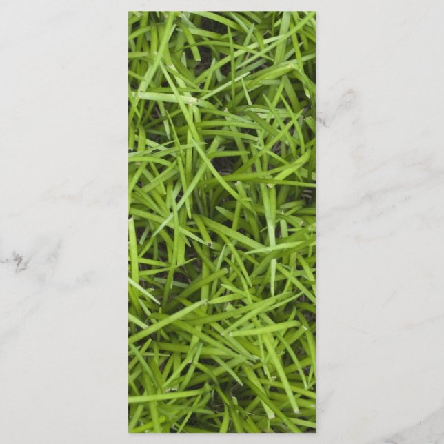 Green Grass Backyard Wedding Program (Back)