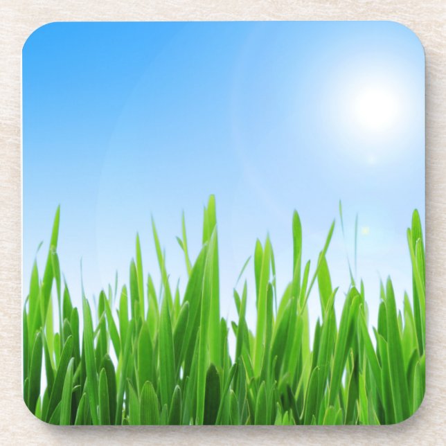Green Grass Blue Sky Landscape-10826 Coaster (Front)