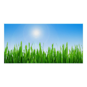 Green Grass Blue Sky Landscape-10826 Poster