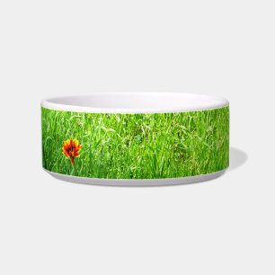 Green Grass Bowl