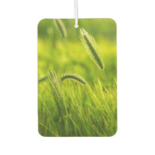 green grass car air freshener