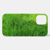 Green Grass