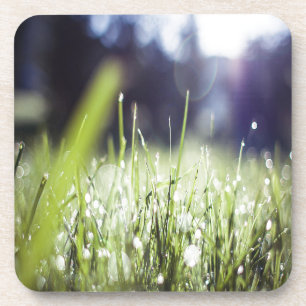 Green Grass Coaster