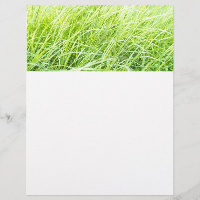 Green grass flyer (Front)