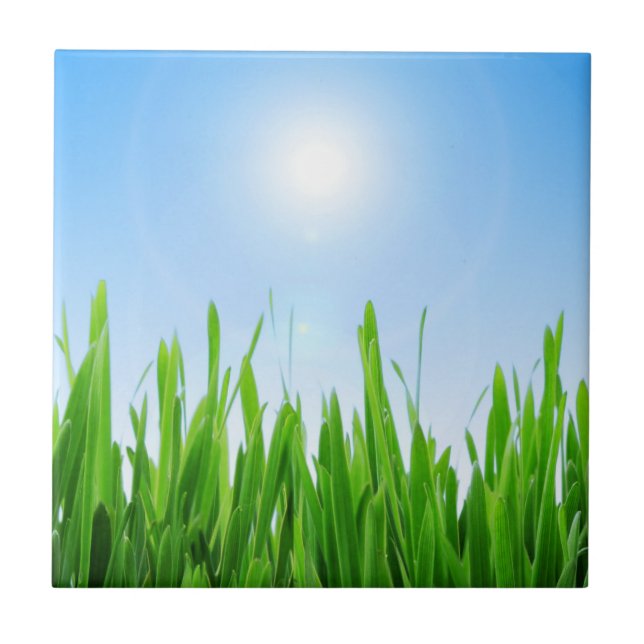 Green Grass Garden with Blue Sky Design Ceramic Tile (Front)