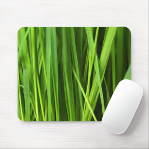 Green Grass, Grass Background, Leaf, Leaves, Plant Mouse Pad