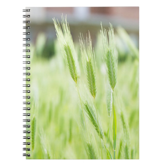 Green grass notebook (Front)