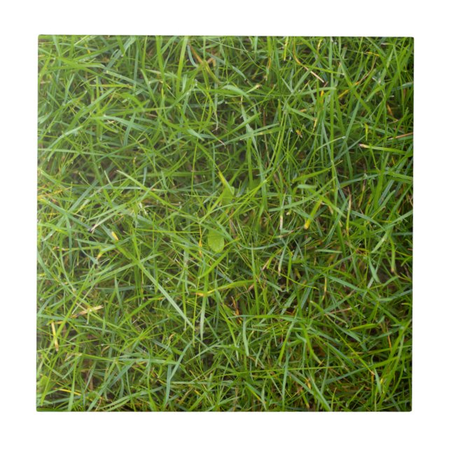 Green Grass Pattern Tile (Front)