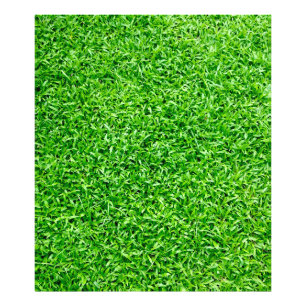 Green grass photo print