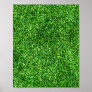 Green Grass Poster