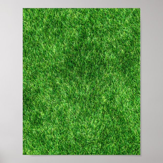 Green Grass Poster (Front)
