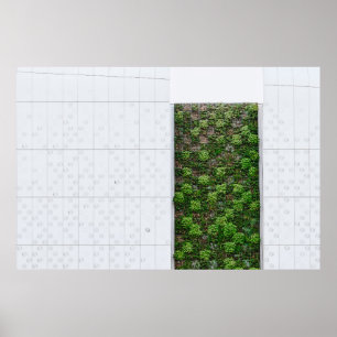 Green grass poster