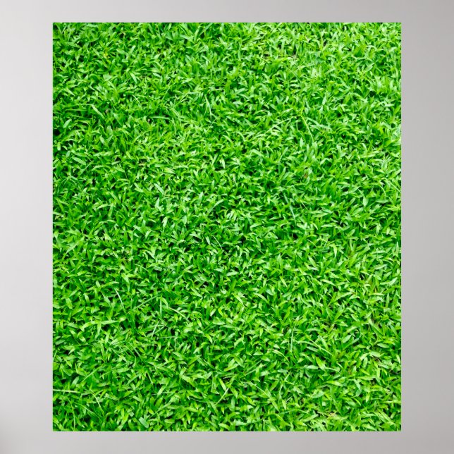 Green grass poster (Front)