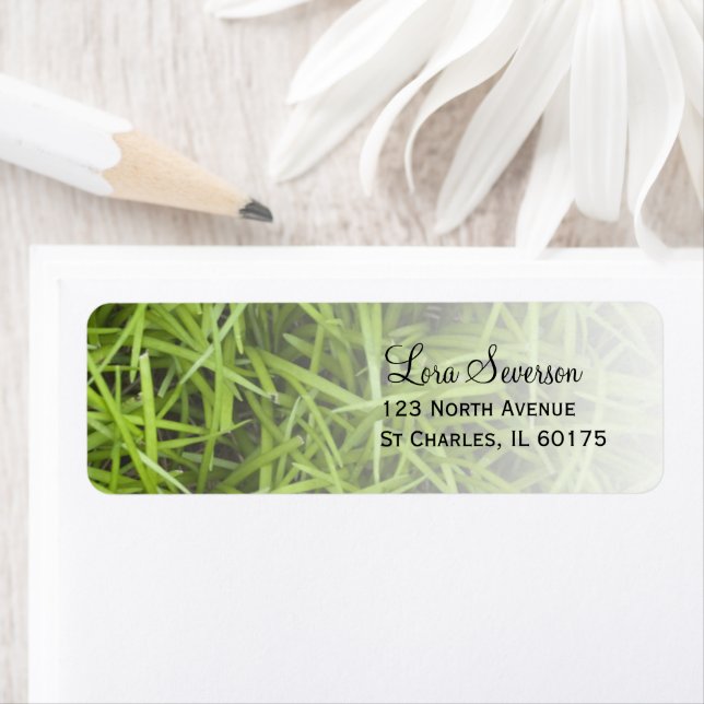 Green Grass Return Address Label (Insitu)
