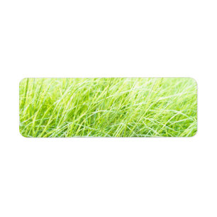 Green grass return address label