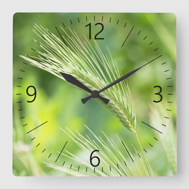 Green grass square wall clock (Front)