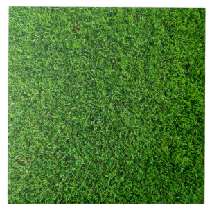 Green Grass Texture Ceramic Tile