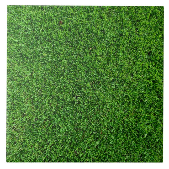 Green Grass Texture Ceramic Tile (Front)