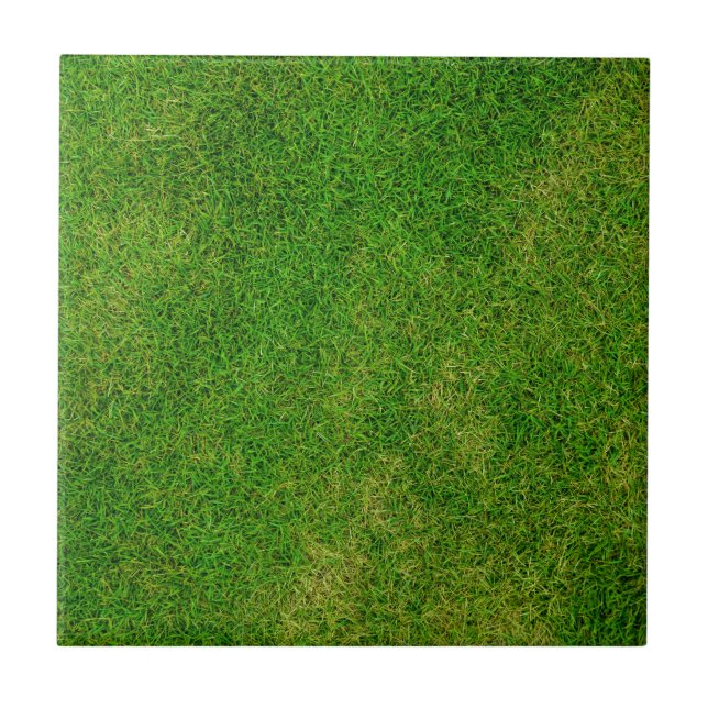 Green Grass Tile (Front)