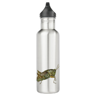 Green Grasshopper 710 Ml Water Bottle