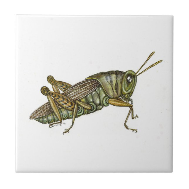 Green Grasshopper Ceramic Tile (Front)
