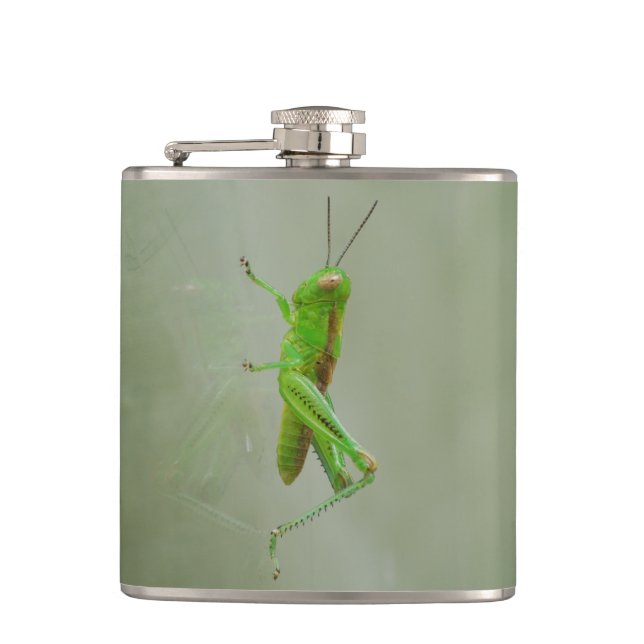 Green Grasshopper Hip Flask (Front)